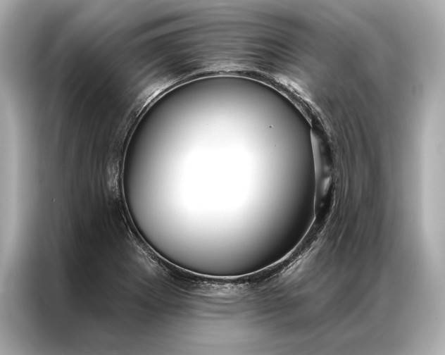 X0000086951273200704301210