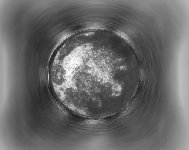 X0000086951274200704301210