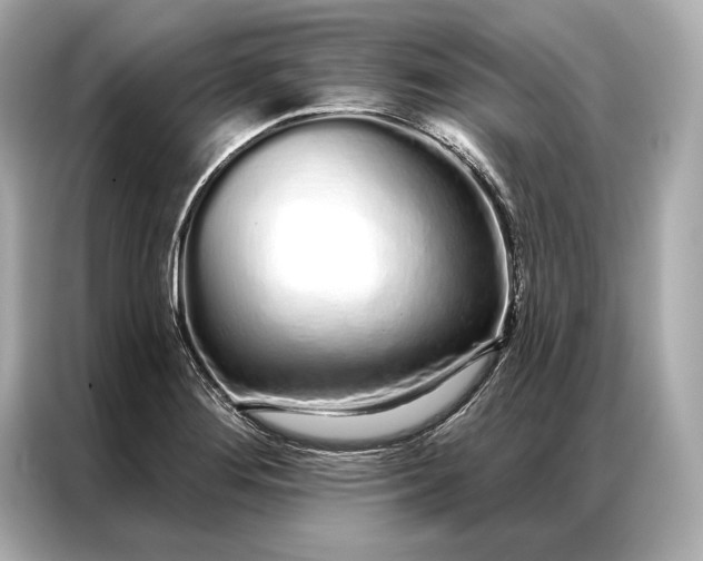 X0000086951276200704301210