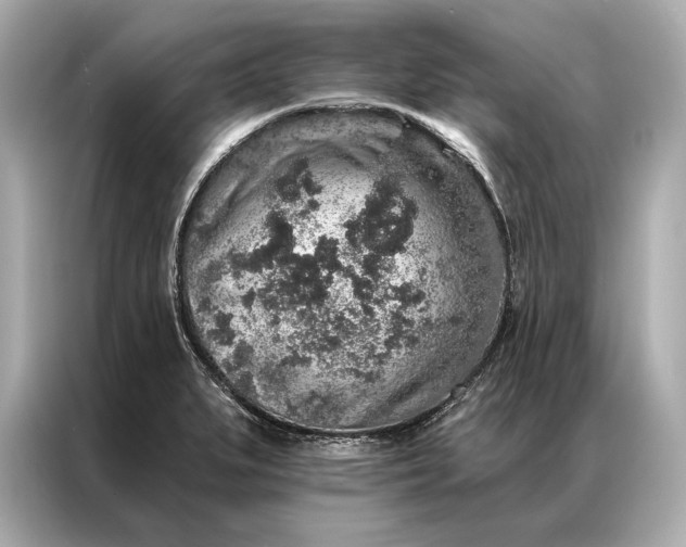 X0000086951279200704301210