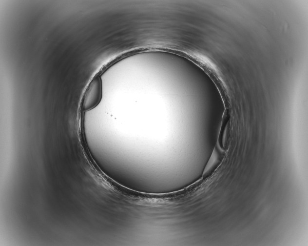 X0000086951280200704301210