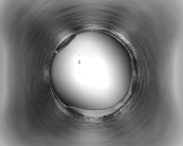 X0000086951281200704301210