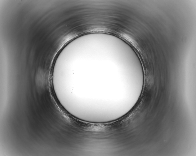 X0000086951282200704301210