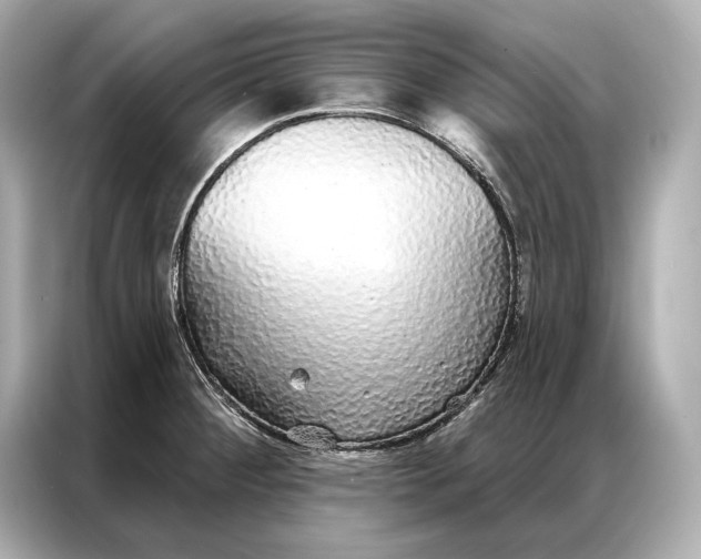 X0000086951284200704301210