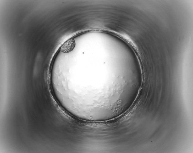 X0000086951287200704301210