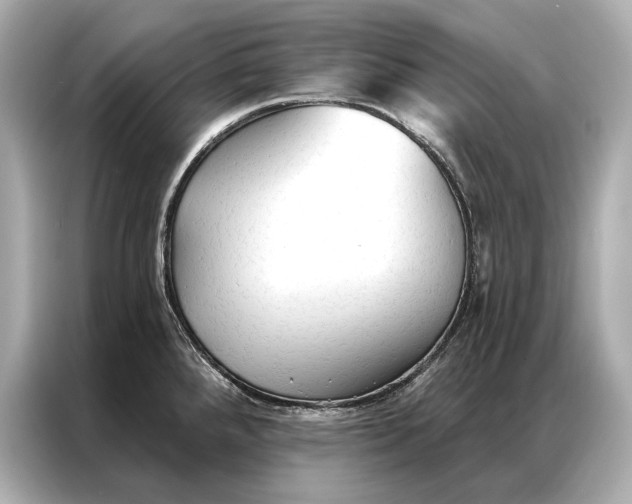 X0000086951288200704301210