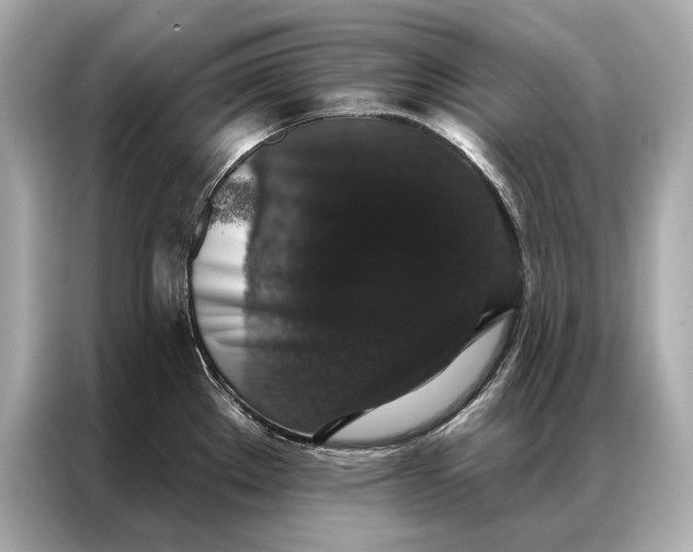 X0000086951289200704301210