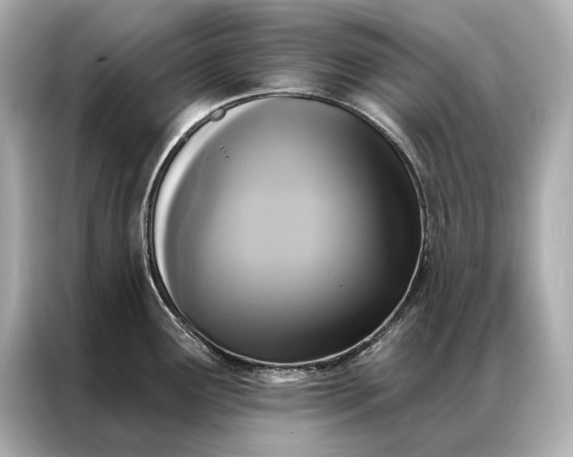 X0000086951291200704301210