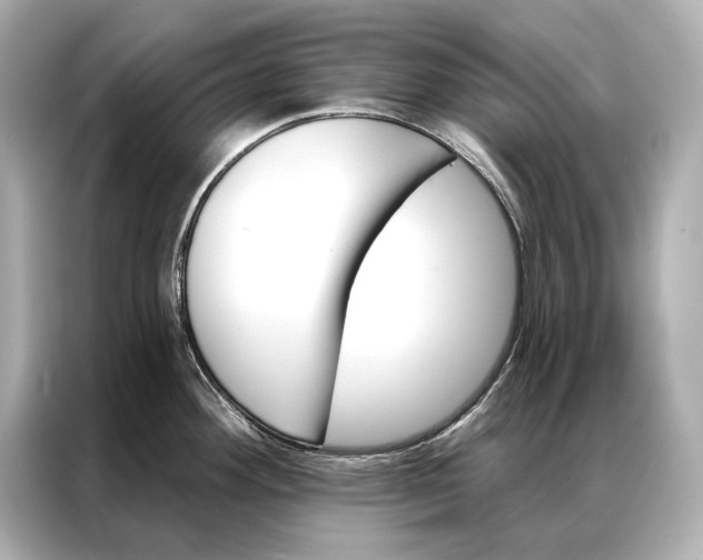 X0000086951292200704301210