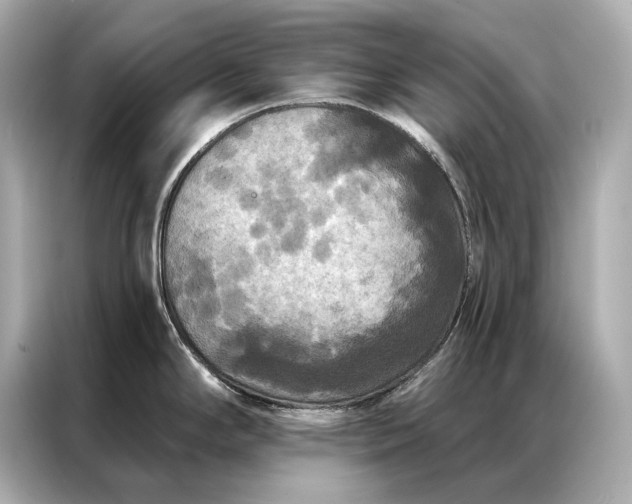 X0000086951294200704301210