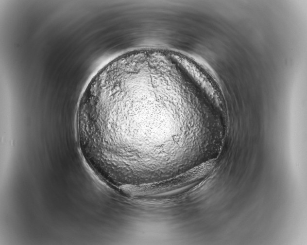 X0000086951295200704301210