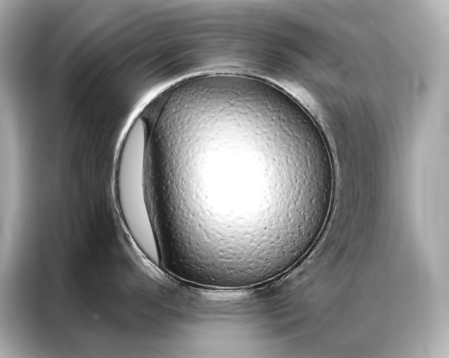 X0000086951296200704301210