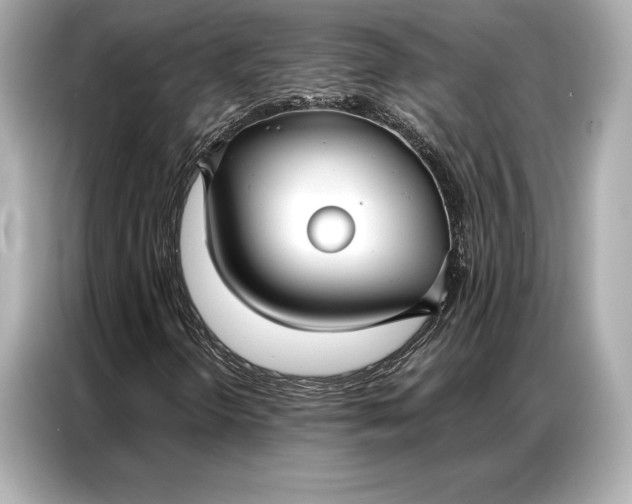 X0000086951298200704301209