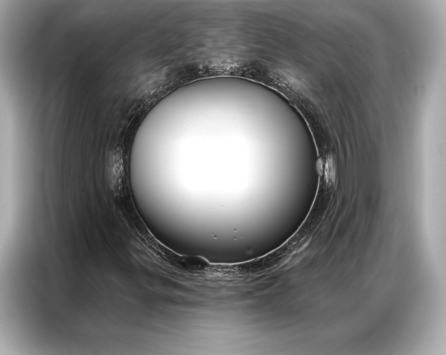 X0000086951299200704301209