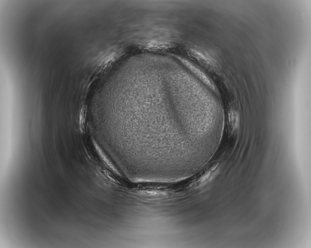 X0000086951300200704301209