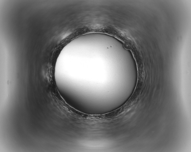 X0000086951301200704301209