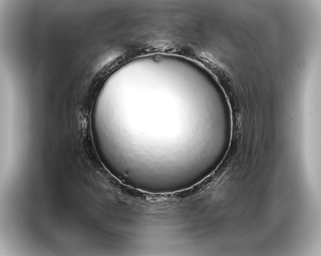 X0000086951302200704301209