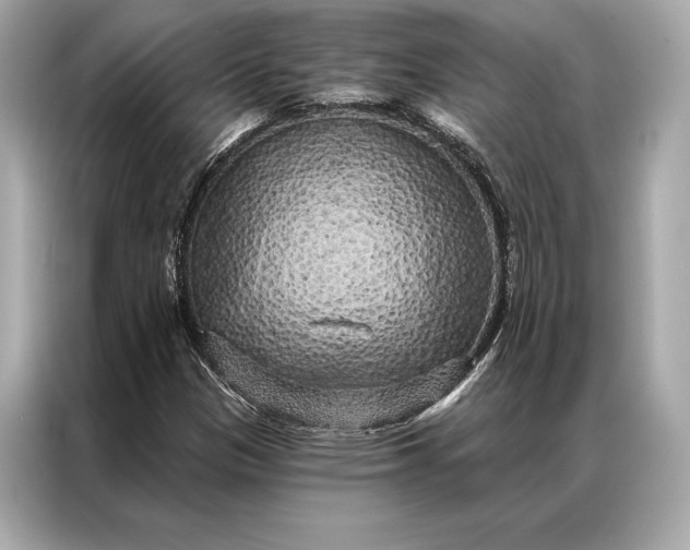 X0000086951305200704301209