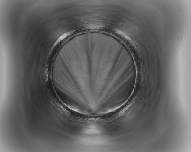 X0000086951306200704301209