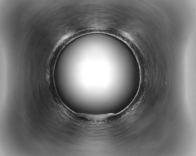 X0000086951307200704301209