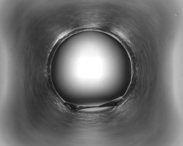 X0000086951308200704301209