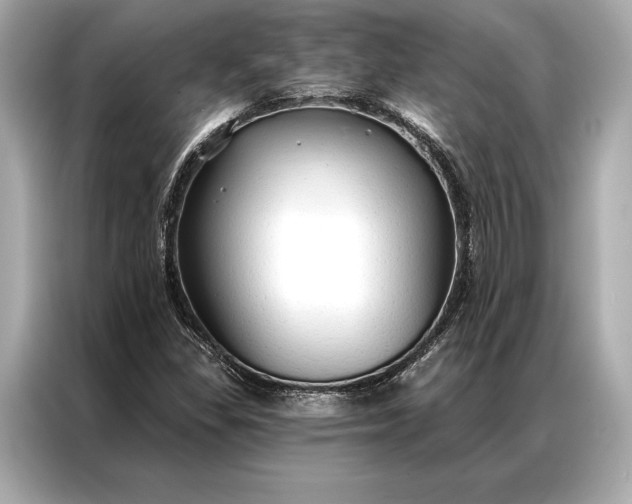 X0000086951309200704301209