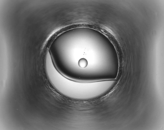 X0000086951310200704301209