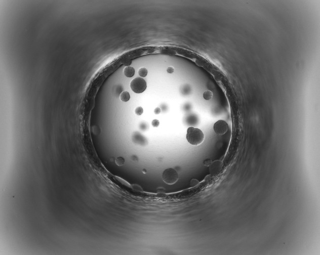 X0000086951311200704301209