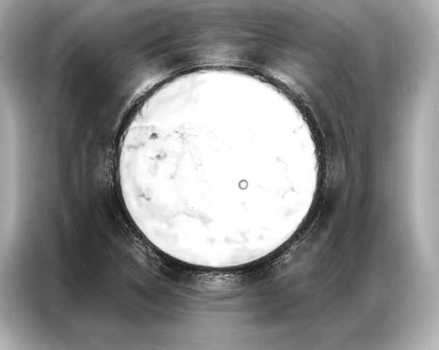 X0000086951314200704301209