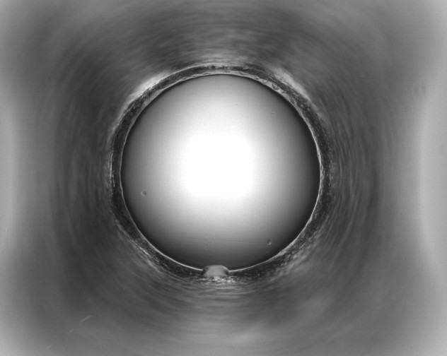 X0000086951315200704301209