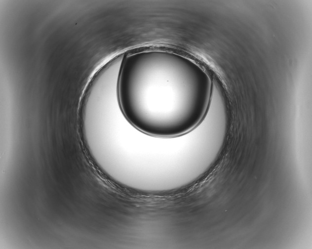 X0000086951316200704301209