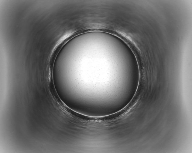 X0000086951317200704301209