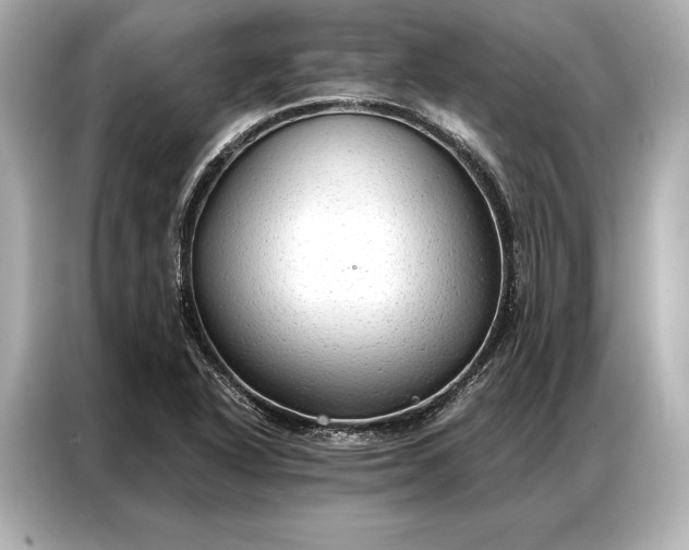 X0000086951318200704301209