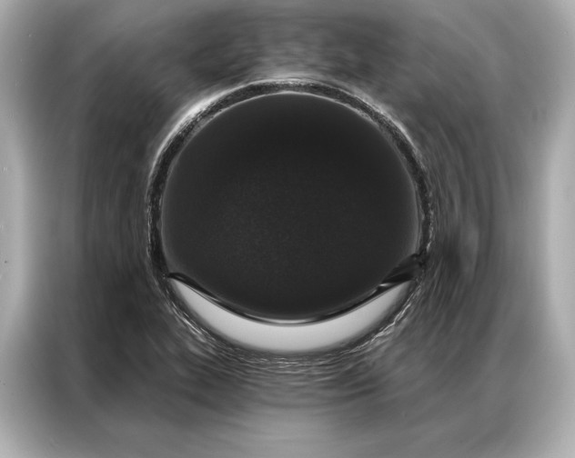 X0000086951319200704301209