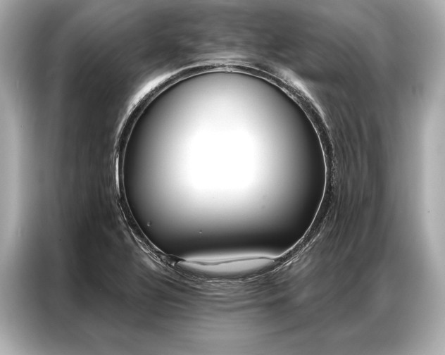 X0000086951320200704301209