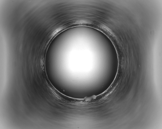 X0000086951321200704301209