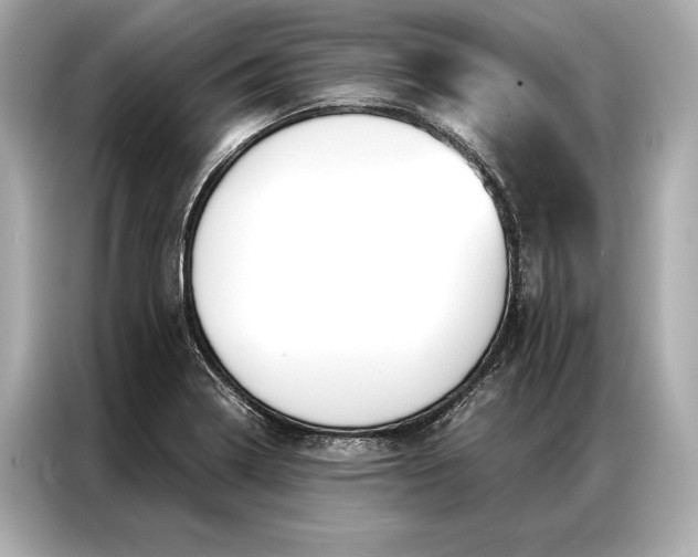 X0000086951322200704301209