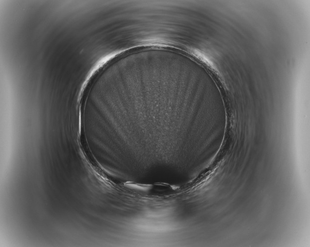 X0000086951323200704301209