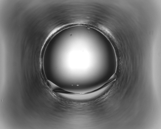 X0000086951324200704301209