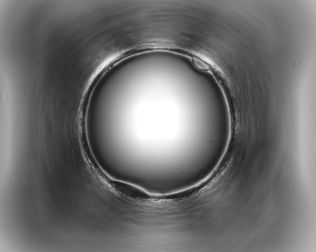 X0000086951325200704301209