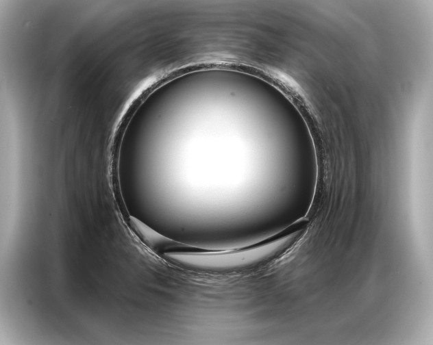 X0000086951326200704301210