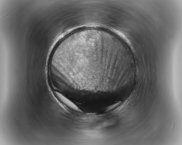 X0000086951327200704301210