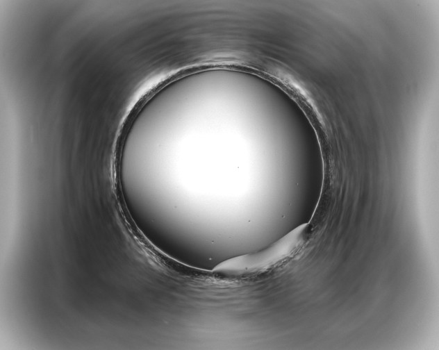 X0000086951328200704301210