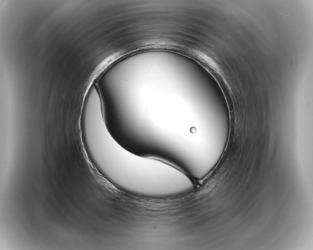 X0000086951330200704301210