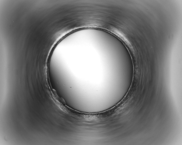 X0000086951332200704301210