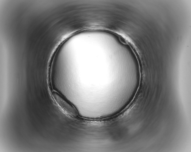 X0000086951333200704301210