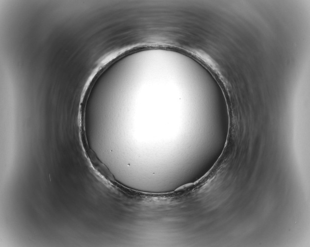 X0000086951335200704301210