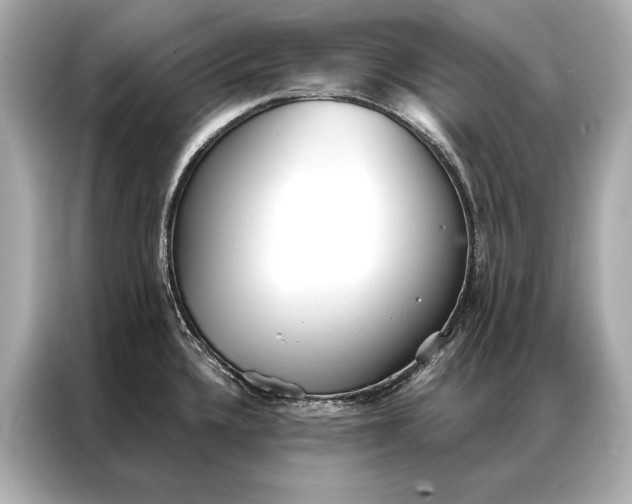 X0000086951336200704301210