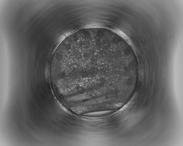 X0000086951337200704301210