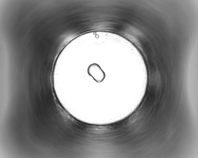 X0000086951338200704301210